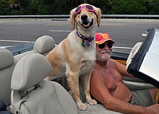 Don Lichter and Jocy, 2, take a ride to the bank in their convertible. "She loves to go to the bank and get her treat," said Lichter. Jocy was also sporting hot pink "doggles".