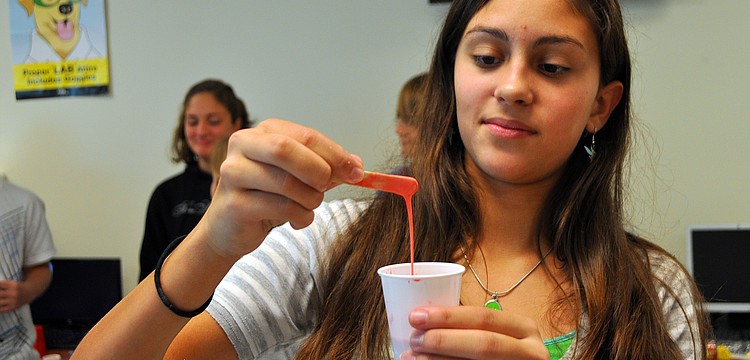 Alex Fontecha, 13, looks quizzically at the edible "oobleck!" she made during Ms. Munson's eighth grade "fear factor" science lab at the Imagine School at Palmer Ranch.