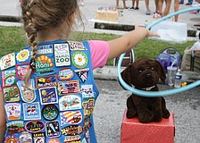 Six-year-old Faith Chaney throws a hula-hoop around a bear.  Faith has been a Girl Scout for two years and her favorite cookie is the Thin Mint.