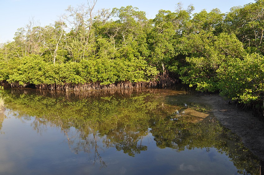 A quick photo at Quick Point Nature Reserve.