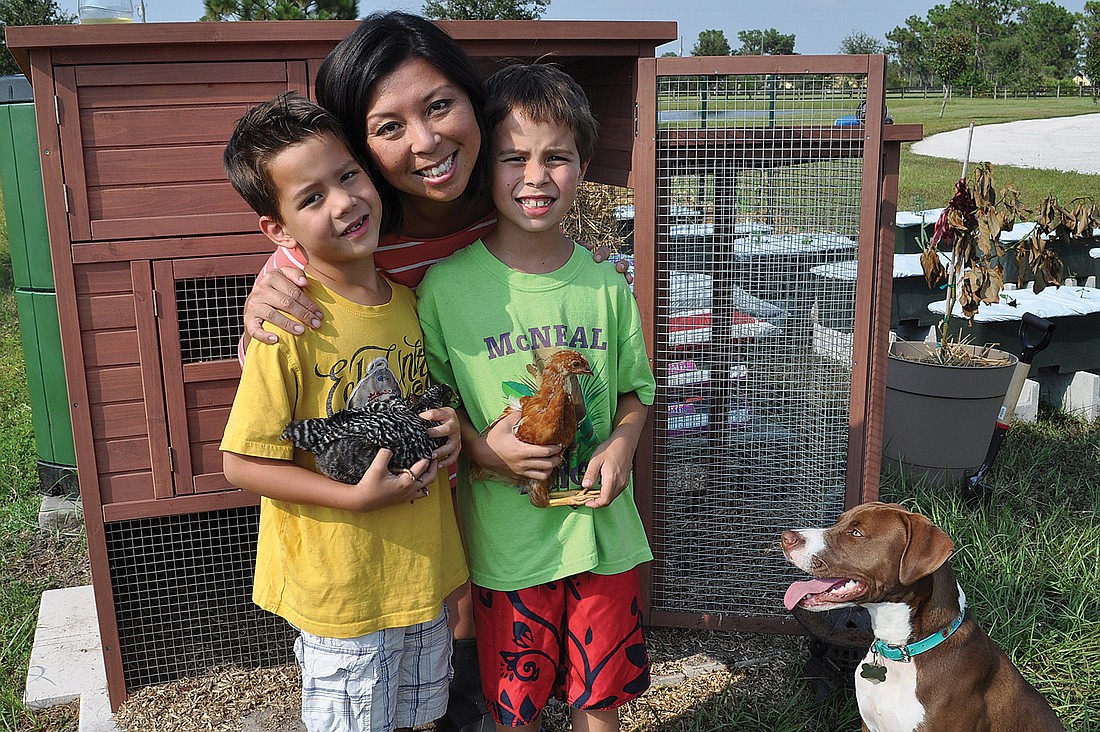 Steamy Kitchen blogger Jaden Hair and her sons, Nathan, left, and Andrew, right, are enjoying their backyard farm, where they are raising chickens and vegetables. Hair is building a smaller version of a sustainable garden in her backyard.