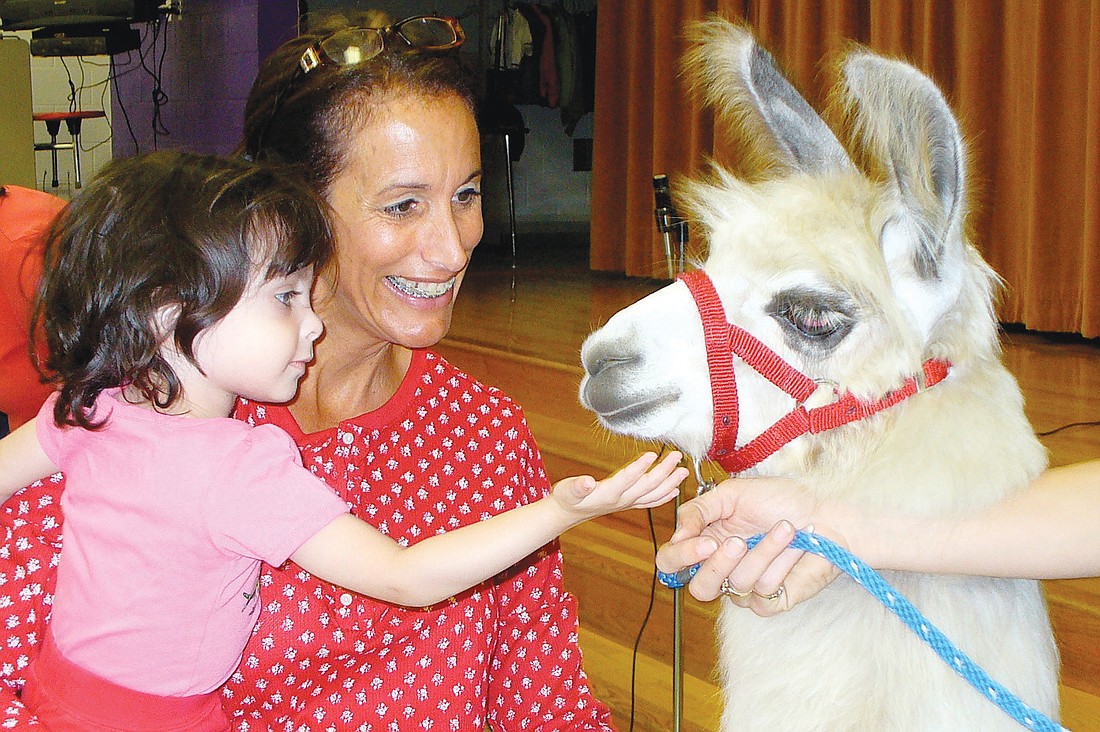 Gulf Gate Elementary School Principal Robin Magac and pre-kindergarten student Madelyn Cohen meet Zeus, a 6-month-old llama from Oak Crest Farms. Courtesy photo.