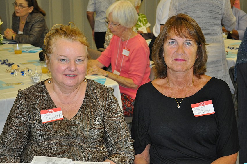 Diana Kryszak and Janet Wilkins