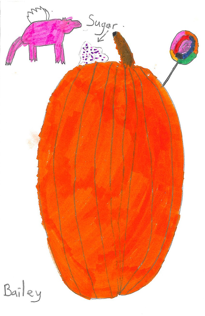 Baily, Grade 3, Lakeview