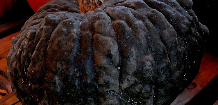 You never know â€”Â it might just make the best Jack-O-Lantern ever!