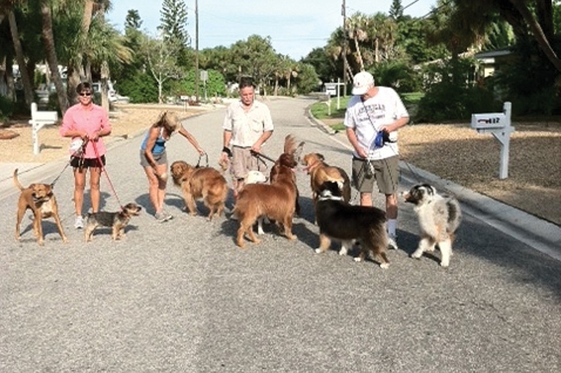 Karen Mahoney, with Erin and Teddy; Sally Langer, with Molly; Gino Dilallo, with Casey, Bo, Murphy and Gabby; and Dave Thomas, with Dakota and Andy, enjoy their daily jaunts on the Key. Courtesy photo.