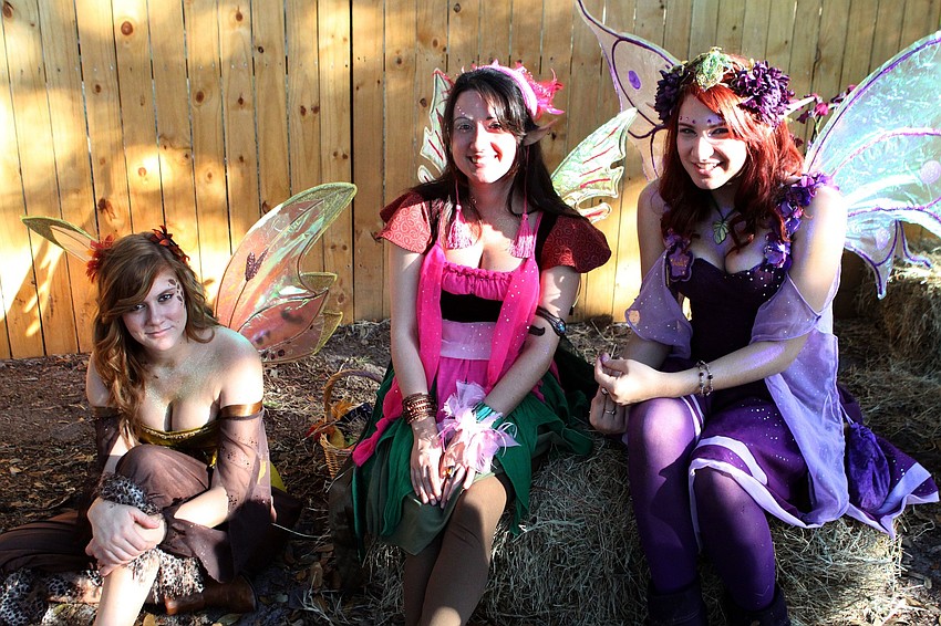 Fairies Ashley Willson, 