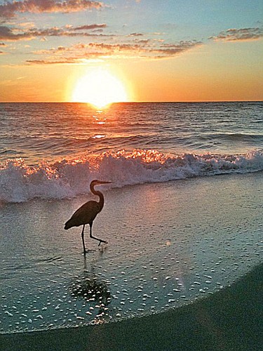 Claudia Lewis submitted this sunset photo, taken on Manasota Key.