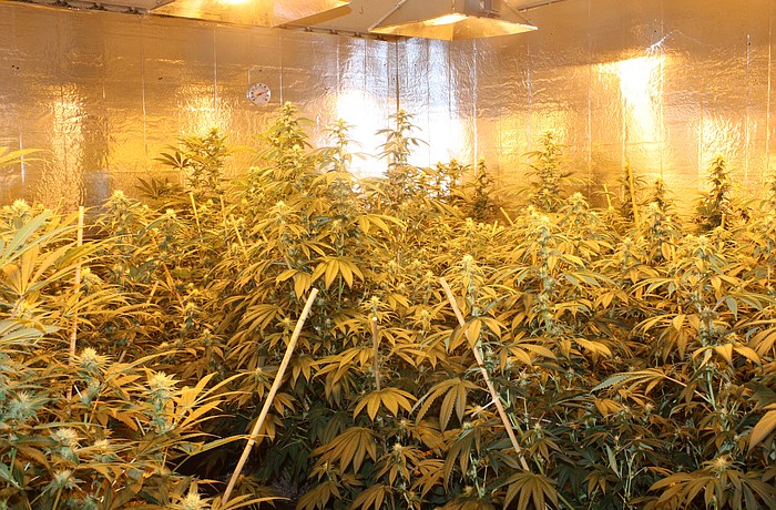 Narcotics detectives with the Special Investigations Bureau performed a search warrant at 12:30 p.m. Thursday, Nov. 17, at 4153 Honolulu Drive. Photo courtesy of the Sarasota County Sheriff's Office.