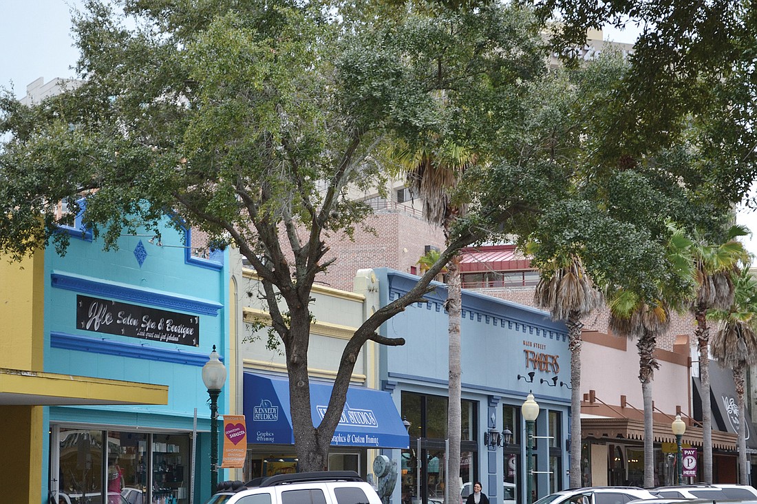 A Main Street oak tree was chopped back a couple of weeks ago without the cityÃ¢â‚¬â„¢s permission. Kurt Schultheis.