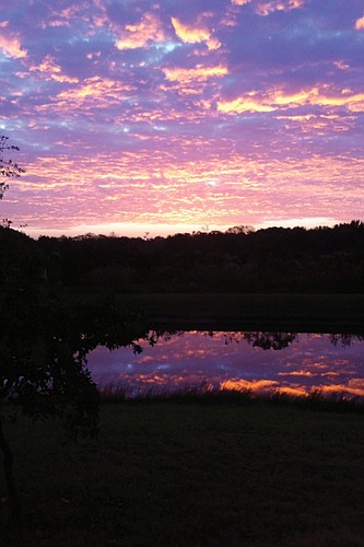 Michael O'Leary took this photo Nov. 22, in Greenbrook Preserve.