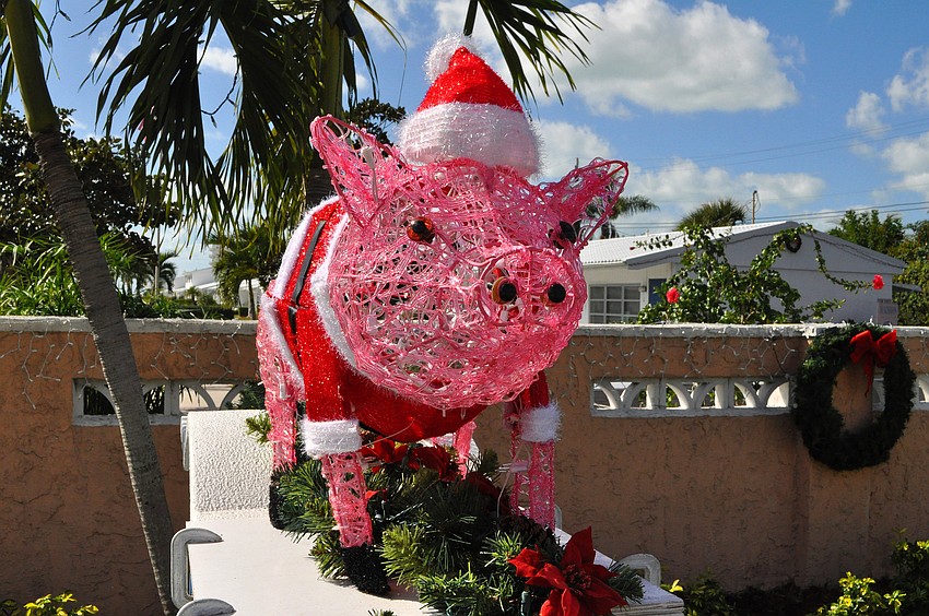 This Santa Pig stands proudly on top of the Beachaven Condominiums sign on Siesta Key.