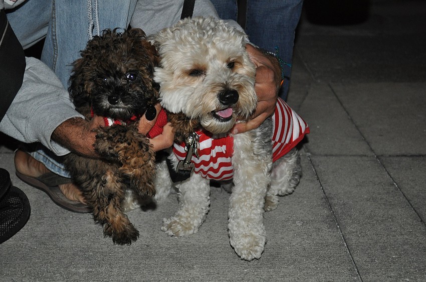 Brian and Guch were two of the pooches that attended the event.