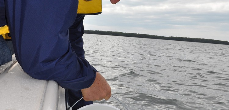 Andy Mele along with Sarasota Bay Watch dumped 3 to 4 million microscopic baby scallops into the bay on Friday, Dec. 9.