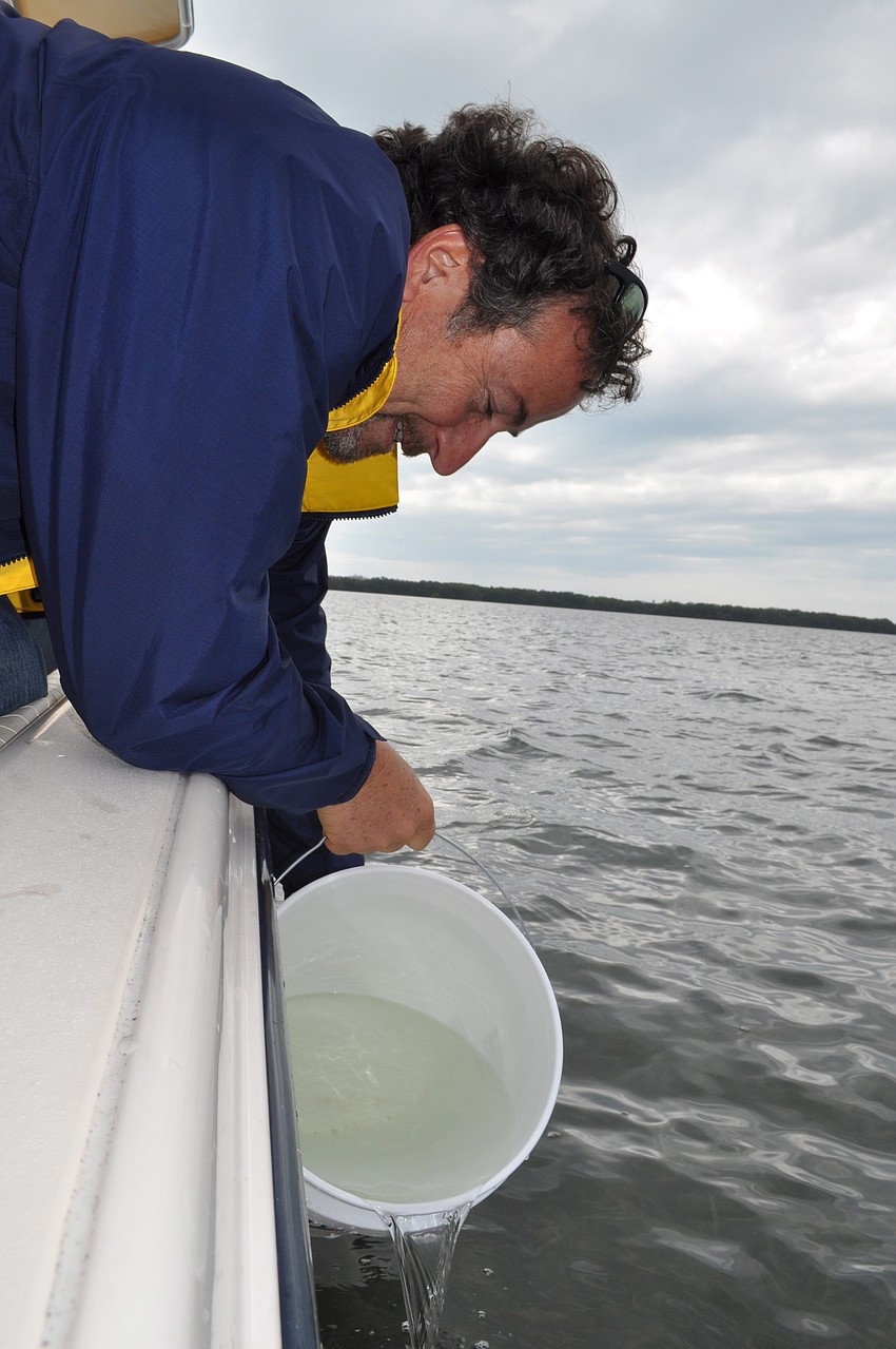Andy Mele along with Sarasota Bay Watch dumped 3 to 4 million microscopic baby scallops into the bay on Friday, Dec. 9.