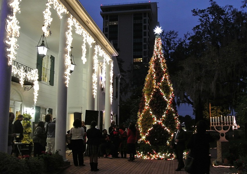 Families and friends of Selby Gardens gathered Thursday for the bromeliad tree lighting just outside the Payne Mansion.