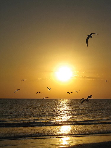 Dawn Bedell submitted this sunset photo, taken at Lido Beach.