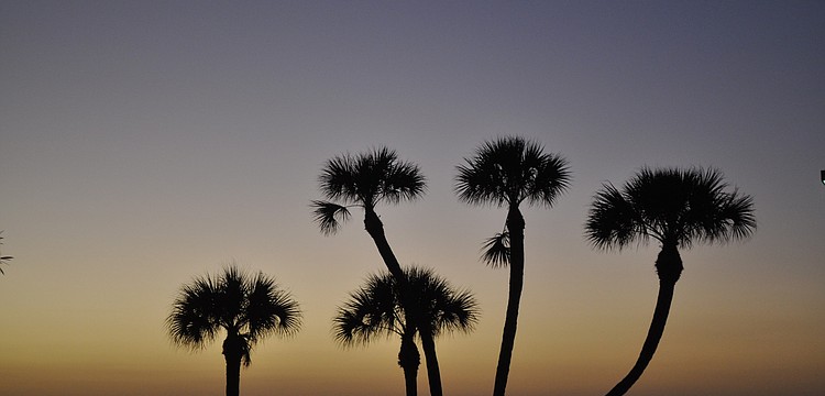 This photo was taken outside of Sea Place's clubhouse where the annual holiday party was taking place Wednesday, Dec. 15.