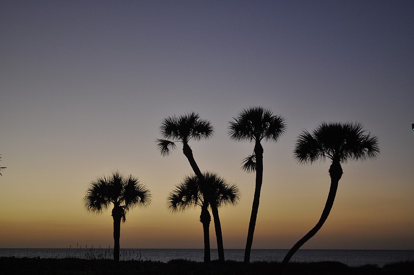This photo was taken outside of Sea Place's clubhouse where the annual holiday party was taking place Wednesday, Dec. 15.