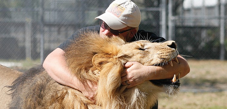 Following in his mother's footsteps, Clayton Rosaire has taken over the traveling portion of the Big Cat Habitat and Gulf Coast Sanctuary. Published Feb. 3, 2011.