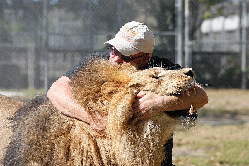 Following in his mother's footsteps, Clayton Rosaire has taken over the traveling portion of the Big Cat Habitat and Gulf Coast Sanctuary. Published Feb. 3, 2011.