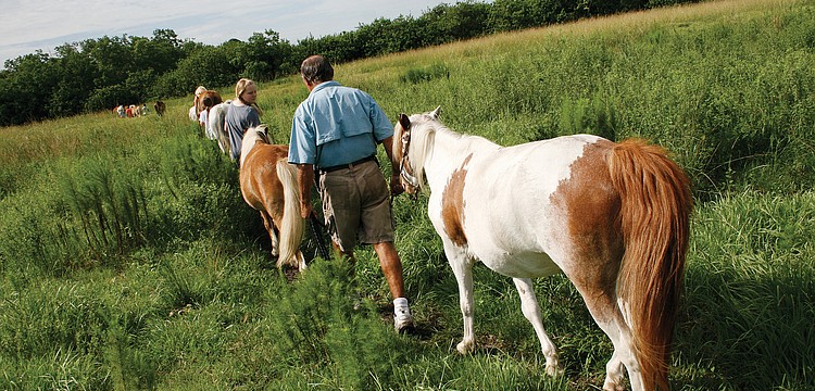 Students at Rosaire's Riding Academy saddled up for a day full of horseback riding fun July 11. Published July 21, 2011.