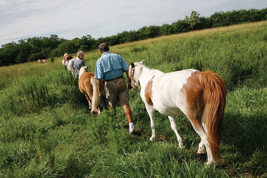 Students at Rosaire's Riding Academy saddled up for a day full of horseback riding fun July 11. Published July 21, 2011.