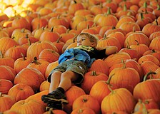 Kindergartner Connor Loukota took a much-needed break from all of the fun and games during Hunsader Farms' 20th annual Pumpkin Festival. Published Oct. 27, 2011.