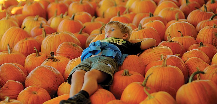 Kindergartner Connor Loukota took a much-needed break from all of the fun and games during Hunsader Farms' 20th annual Pumpkin Festival. Published Oct. 27, 2011.