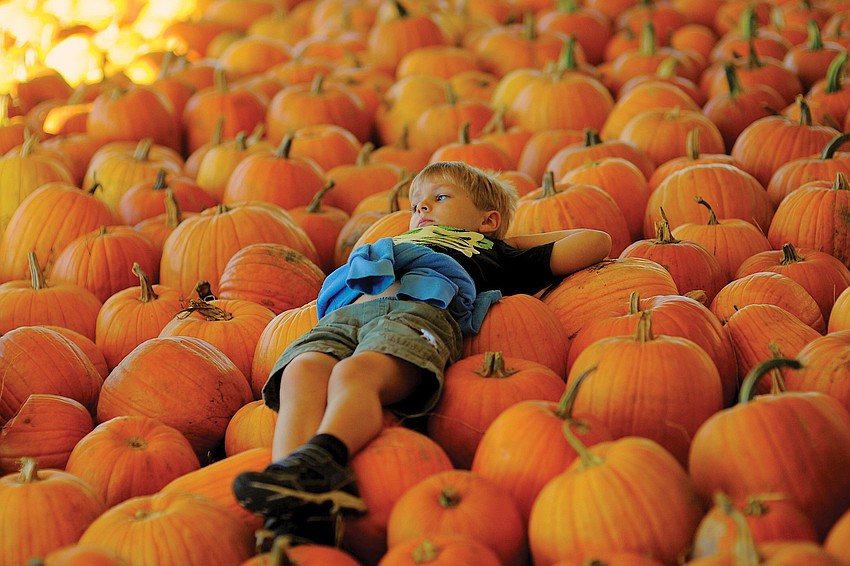 Kindergartner Connor Loukota took a much-needed break from all of the fun and games during Hunsader Farms' 20th annual Pumpkin Festival. Published Oct. 27, 2011.