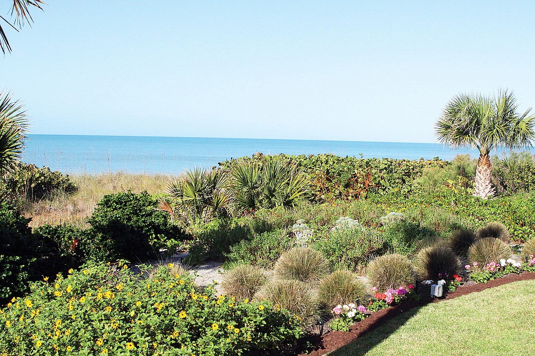 Grant's Gardens worked with the owners to incorporate plants that work well and with the natural seagrass and palm trees already on the beach.