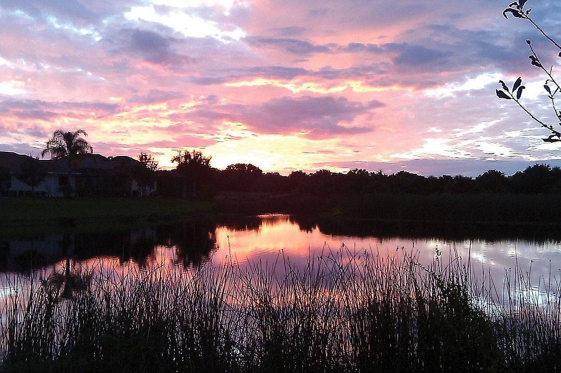 Denise Cady took this photo from her back yard in Greyhawk Landings.