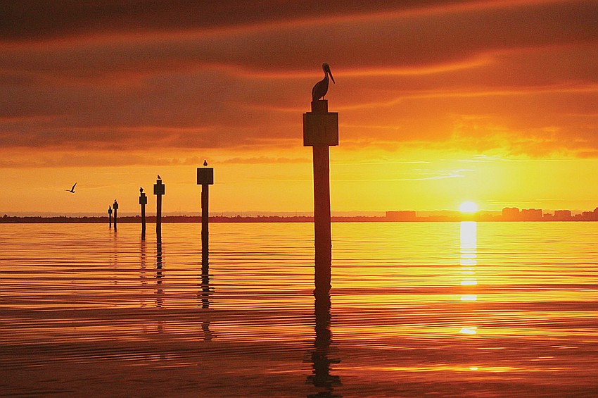 John Caviglia, Longboat Key