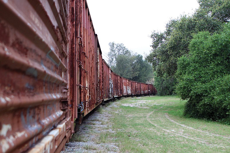 Abandoned boxcars have been left on the railroad track that goes through Shade Avenue. Photo by Rachel S. O'Hara.
