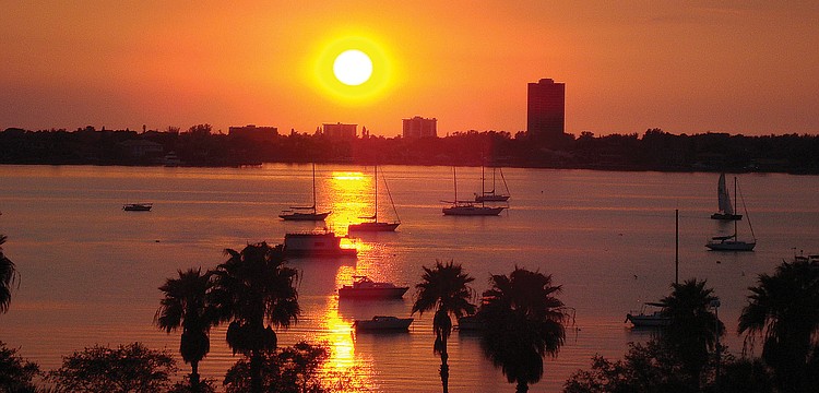 Edward Dâ€™Agostino, downtown Sarasota
