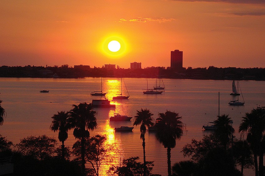 Edward Dâ€™Agostino, downtown Sarasota