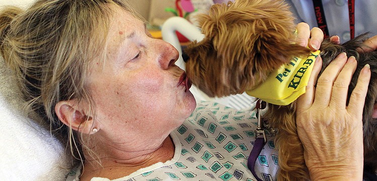 Barb McRae received a personal hospital room visit and kisses from Kirby, who is part of the Sarasota Memorial Hospitalâ€™s pet-therapy program.