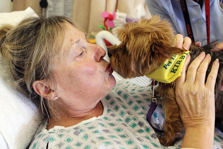 Barb McRae received a personal hospital room visit and kisses from Kirby, who is part of the Sarasota Memorial Hospitalâ€™s pet-therapy program.