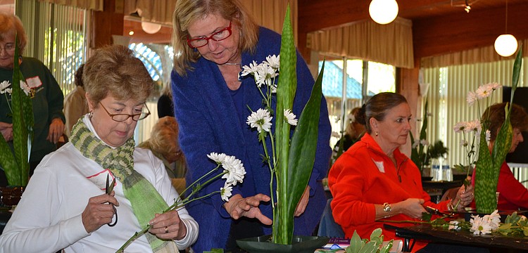 Carol Bernasconi and Janice Hamlin