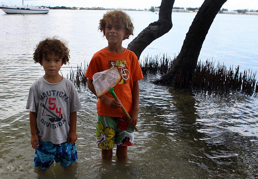 Blair, 3, and Reece, 6, Phillips went out with a net to try and find all sorts of different creatures during the Local National Estuaries Day Celebration Saturday, Sept. 24, at Ken Thompson Park.