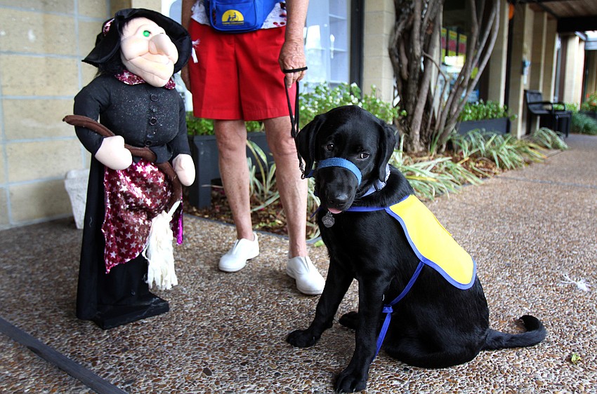 Healey IV, a CCI dog, sits next to a scary witch.