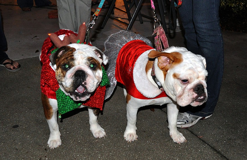 Rosie and Sophie came dressed in their holiday best to the Laurel Park Holiday Party.