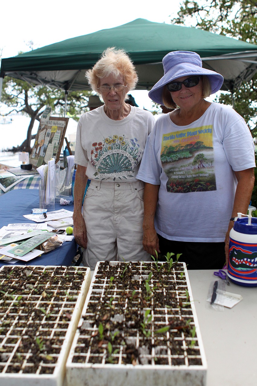 Betsy Roberts and Erica Timmerman of the Florida Native Plant Society were giving children little potted Indian Blankets, a favorite flower of many butterflies, at the Local National Estuaries Day Celebration Saturday, Sept. 24, at Ken Thompson Park.