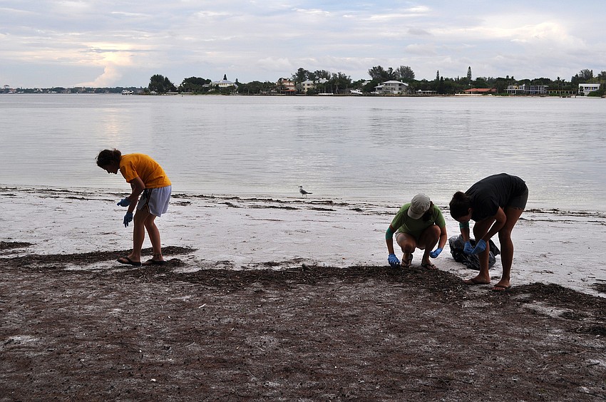 Heather Hooper, Dana Henderson and Gina Santoianni participated in the Barefoot Wine Beach Cleanup Thursday, Sept. 8, at Ted Sperling Park.