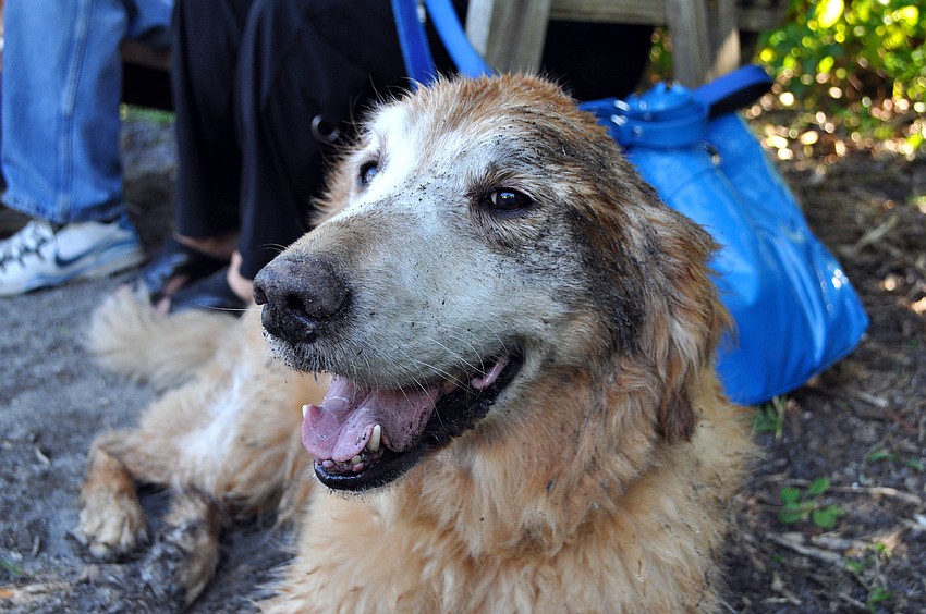 Solomon, 11, had fun getting dirty after cooling down in one of the kiddie pools.