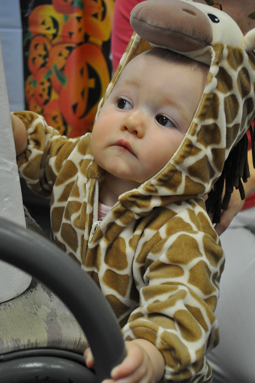 Shelby Scarbrough is a giraffe.