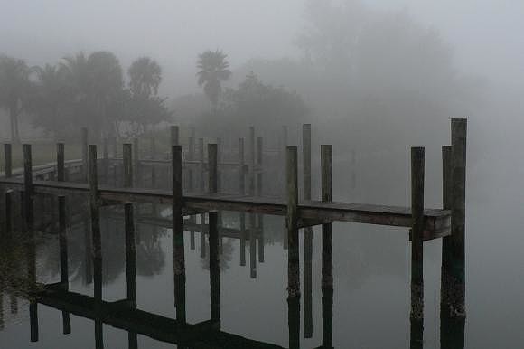 Teri Jordan submitted this early-morning photo, taken in Buttonwood Harbour on Longboat Key for this week's Weekly Winner.