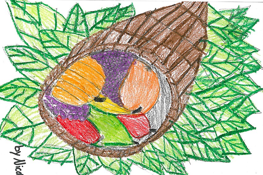 Nicole, Lakeview Elementary