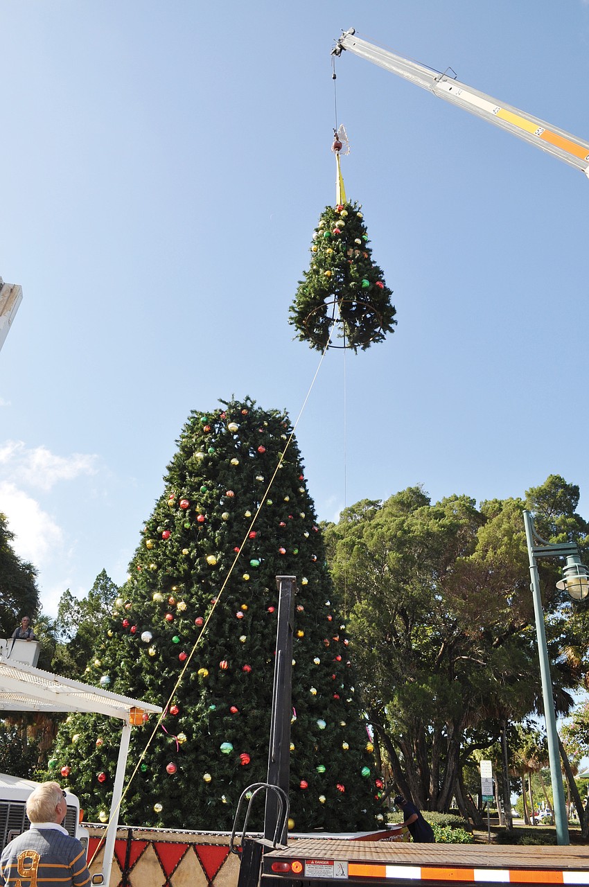 The Christmas tree in the middle of St. Armands Circle Park received its top in November.