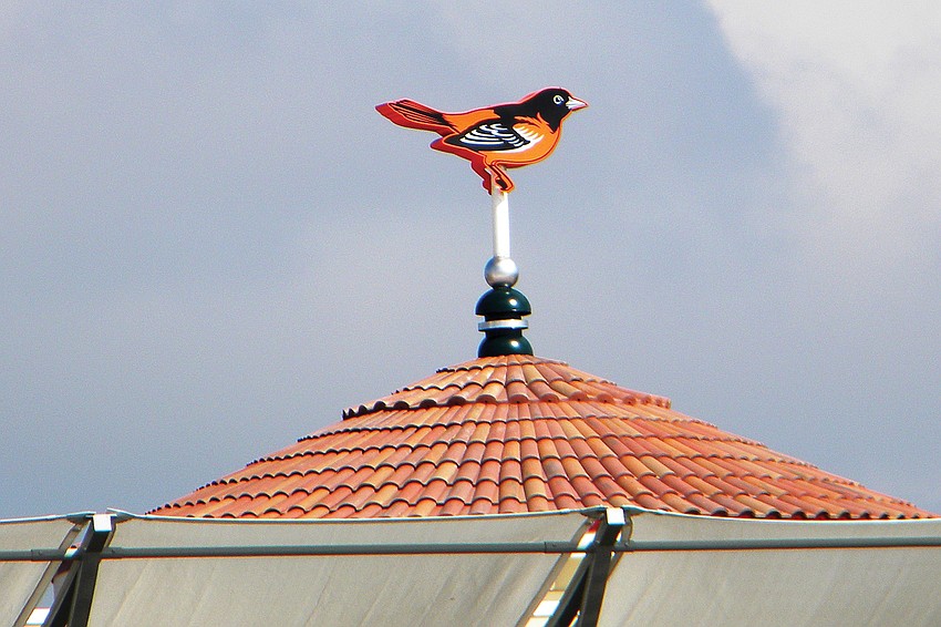 The Oriole wind vane atop Ed Smith Stadium proclaimed the start of the Baltimore Oriolesâ€™ 2011 spring training as well as the completion of major renovations of the stadium.